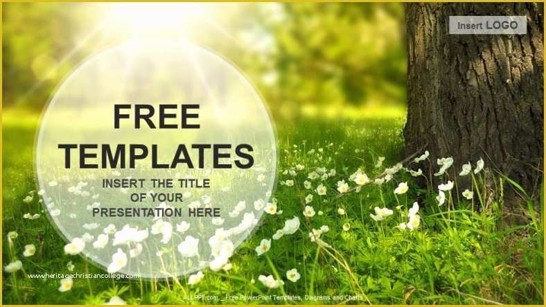 Plant Powerpoint Templates Free Download Of Flowers Meadow Nature Ppt