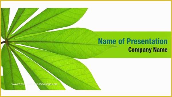 Plant Powerpoint Templates Free Download Of Fresh Green Plant Leaves Powerpoint Templates Fresh