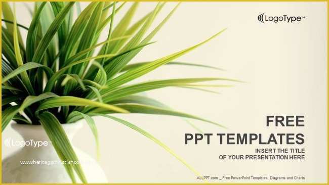 Plant Powerpoint Templates Free Download Of Fresh Plant Nature Powerpoint Templates