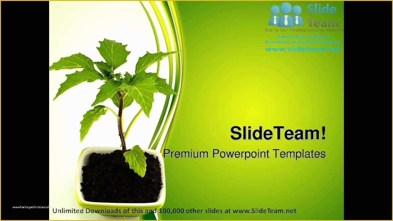 Plant Powerpoint Templates Free Download Of Growing Green Plant Nature Powerpoint Templates themes and