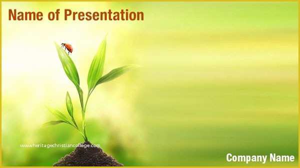 Plant Powerpoint Templates Free Download Of Ladybug On Plant Powerpoint Templates Ladybug On Plant