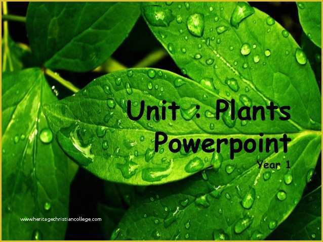 Plant Powerpoint Templates Free Download Of Plants Powerpoint and Interactive Activities