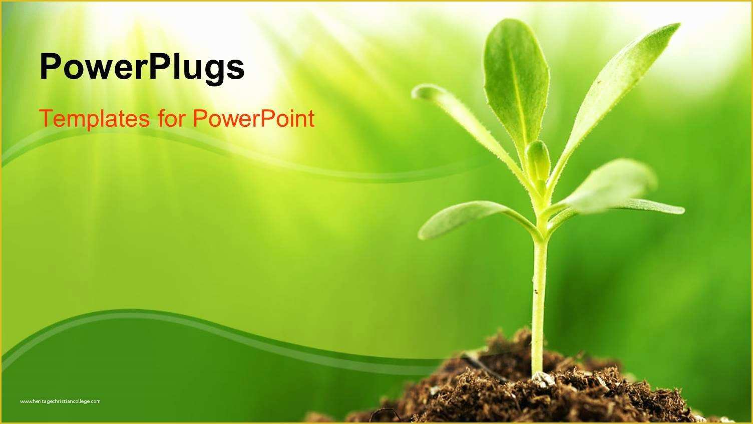 Plant Powerpoint Templates Free Download Of Powerpoint Template Young Green Plant Growing In Sunshine