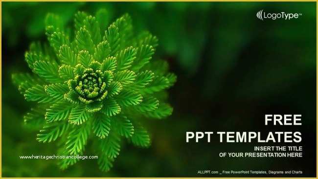Plant Powerpoint Templates Free Download Of Water Plant Nature Powerpoint Templates