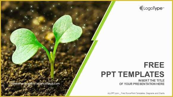 Plant Powerpoint Templates Free Download Of Young Plant Sprouting Powerpoint Templates