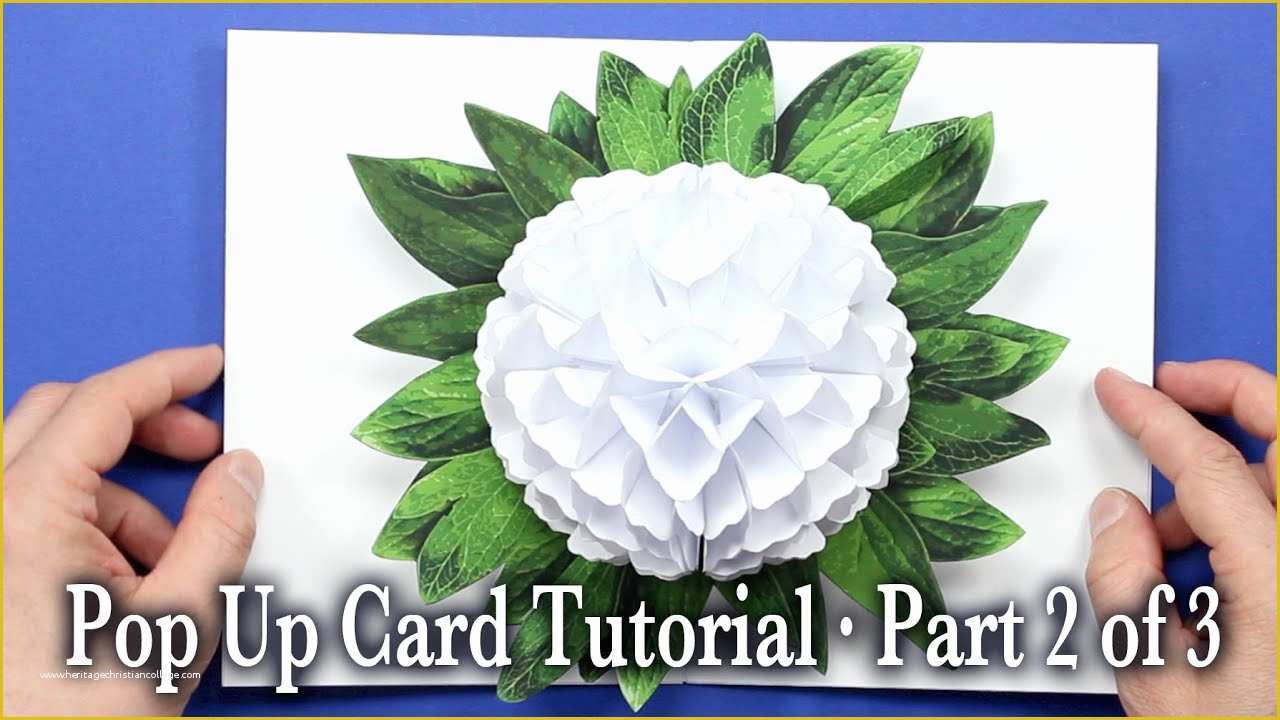 pop-up-card-templates-free-download-of-flower-pop-up-card-tutorial-part