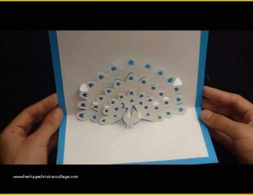Pop Up Card Templates Free Download Of Peacock Pop Up Card Tutorial &amp; Free Template