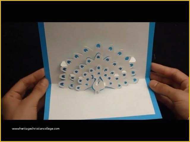 Pop Up Card Templates Free Download Of Peacock Pop Up Card Tutorial & Free Template