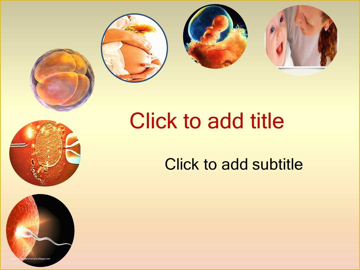 powerpoint-templates-free-download-of-gynecology-obstetrics-powerpoint-template-free