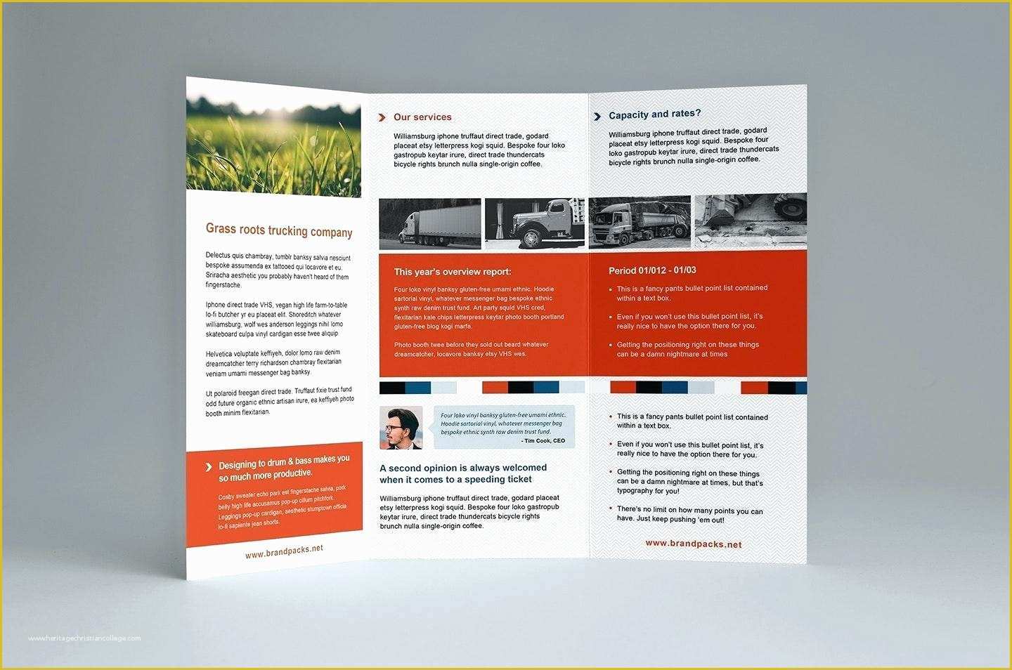 Ppt Brochure Templates Free Of 50 Lovely Tri Fold Brochure Template Powerpoint