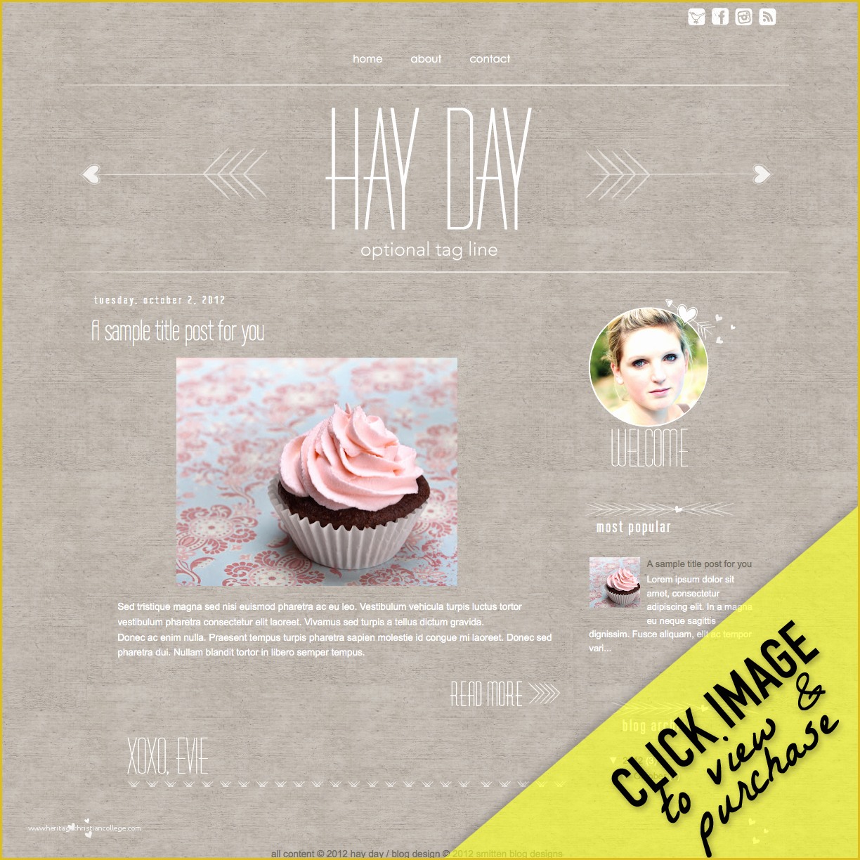 Premade Website Templates Free Of Hay Day Premade Template $115 Smitten Blog Designs