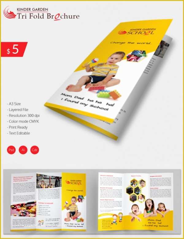Preschool Brochure Template Free Of 9 Preschool Brochures