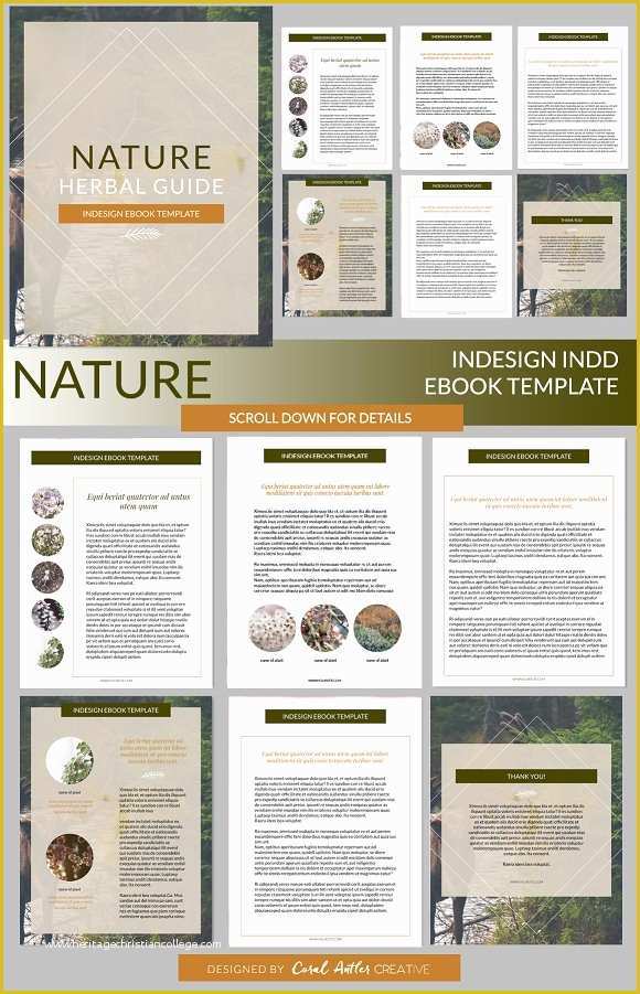 Presentation Indesign Template Free Of Nature Indesign Ebook Template Presentation Templates