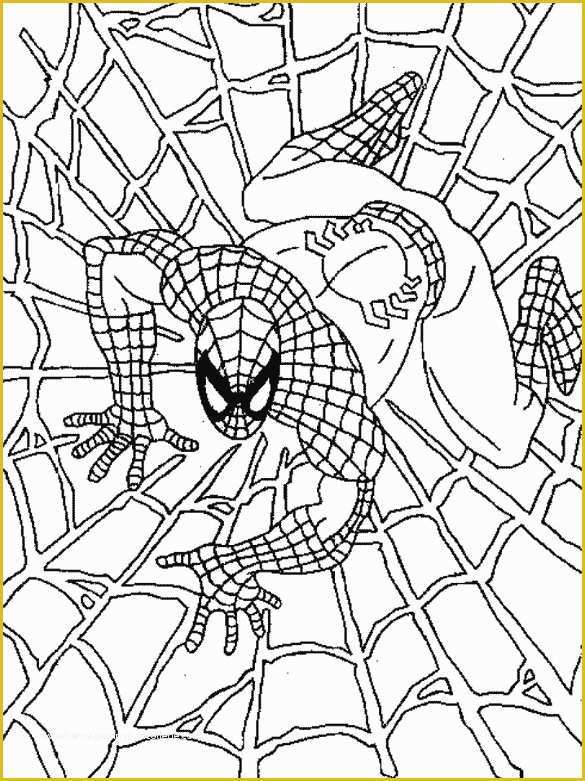 Printing Website Template Free Of 19 Spider Man Coloring Pages Pdf Psd