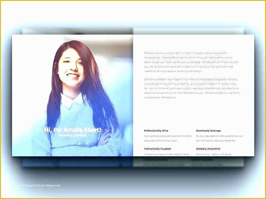 Professional Personal Website Templates Free Of Professional Resume Website Template Professional Resume