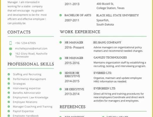 Professional Resume Template Free Download Of Professional Resume Template 60 Free Samples Examples