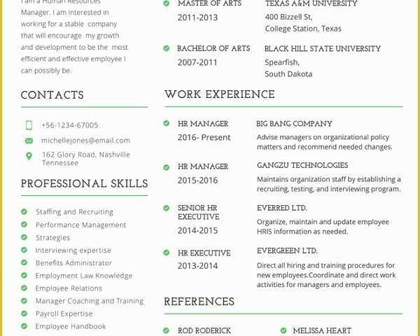 Professional Resume Template Free Download Of Professional Resume Template 60 Free Samples Examples