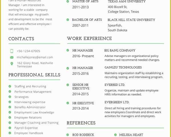 Professional Resume Template Free Download Of Professional Resume Template 60 Free Samples Examples