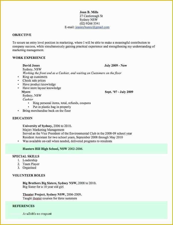 Professional Resume Template Free Download Of Professional Vitae Template Vitae Resume Template