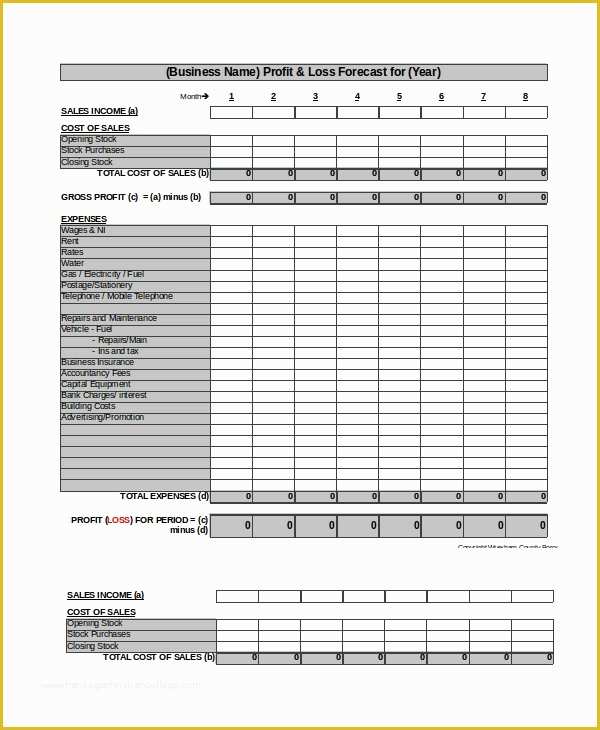 Profit and Loss Statement Excel Template Free Of 12 Profit and Loss Templates In Excel