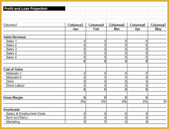 Profit and Loss Statement Template Free Download Of 7 Business Profit and Loss Spreadsheet