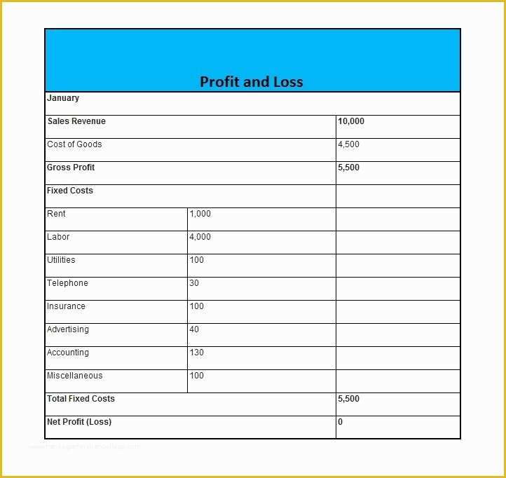 Profit and Loss Template Free Download Of 35 Profit and Loss Statement Templates & forms