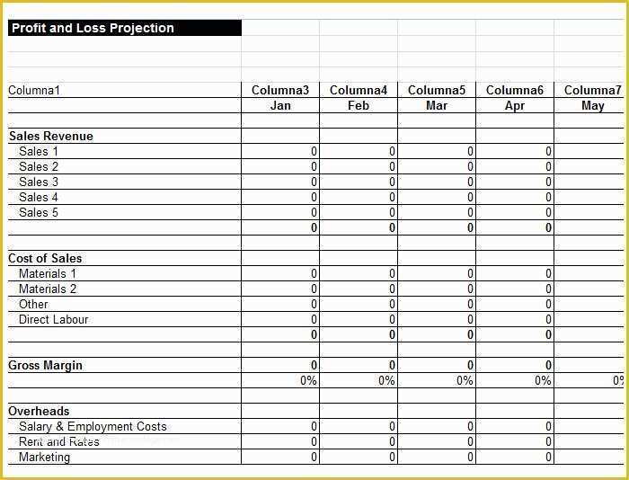 Profit and Loss Template Pdf Free Of 13 Profit and Loss Statements Word Pdf