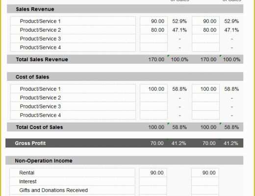 Profit and Loss Template Pdf Free Of 13 Profit and Loss Statements Word Pdf