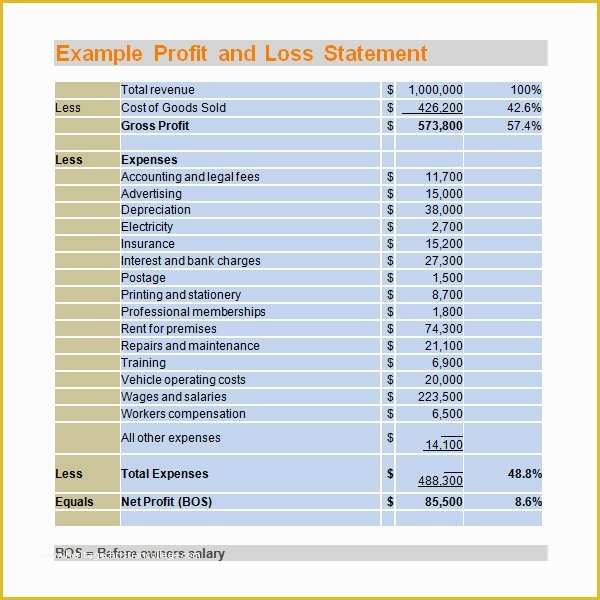 Profit and Loss Template Pdf Free Of 20 Sample Profit and Loss Templates Docs Pdf Apple