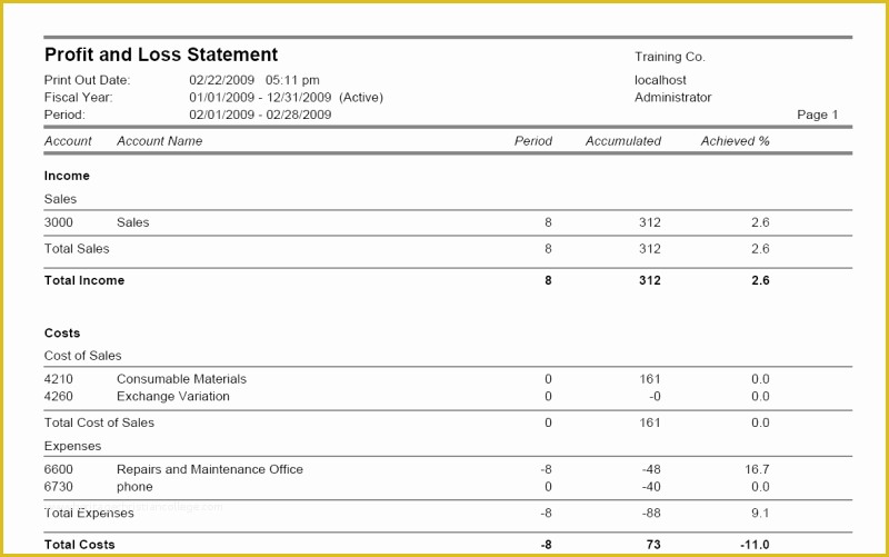 Profit and Loss Template Pdf Free Of Profit and Loss Statement Template