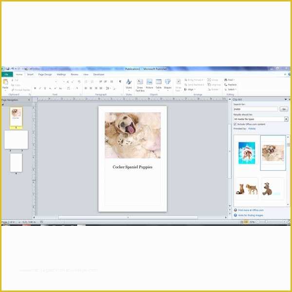 Publisher Booklet Template Free Of Microsoft Publisher Book Template Salonbeautyform