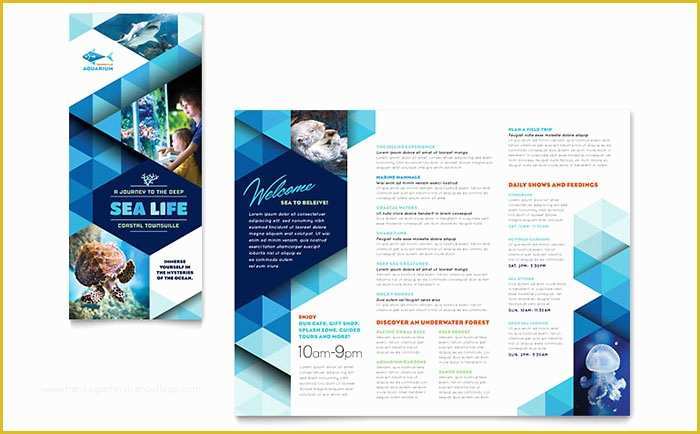 Publisher Booklet Template Free Of Ocean Aquarium Brochure Template Word & Publisher