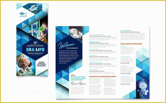 Publisher Brochure Templates Free Of Ocean Aquarium Brochure Template Word & Publisher