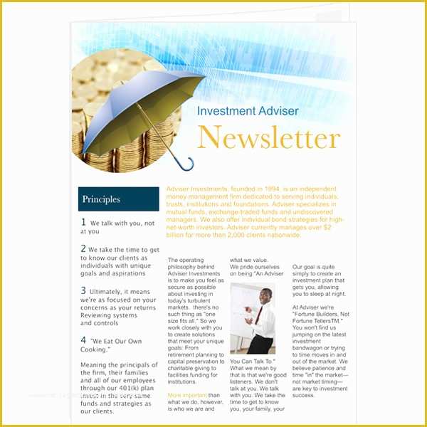 Publisher Templates for Newsletters Free Of Newsletter Templates & Samples