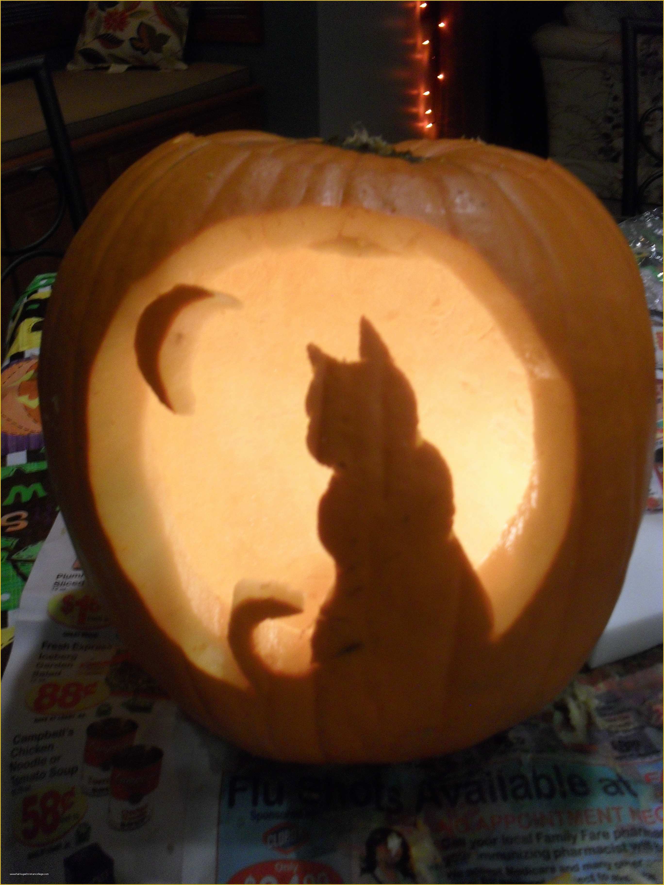 Pumpkin Carving Ideas Templates Free Of Cat Pumpkin Carving Template Tasteful Space