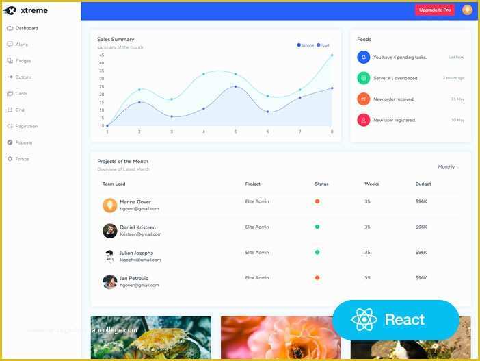 React Website Template Free Of Xtreme React Admin Lite – Free React Admin Template