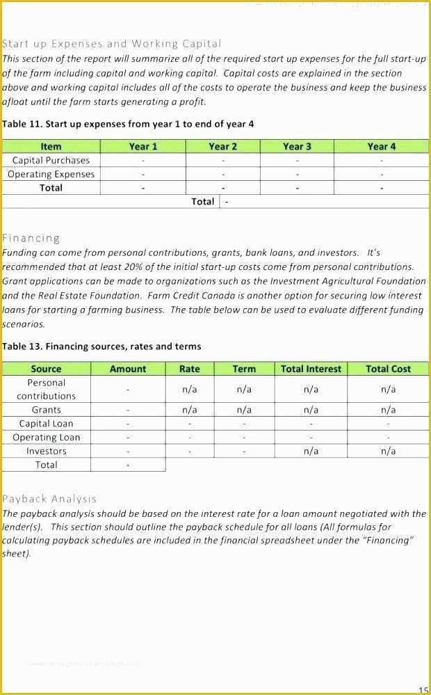 Real Estate Investment Business Plan Template Free Of Business Plan Investment Real Estate Investing Property