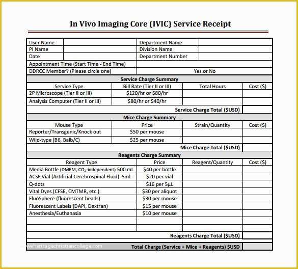 Receipt for Services Template Free Of 18 Service Receipt Templates Doc Pdf
