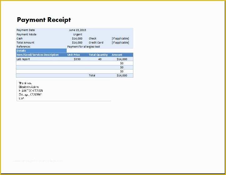 Receipt for Services Template Free Of Ms Excel Payment Receipt Template