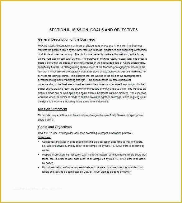 Recording Studio Business Plan Template Free Of Example Mission Statements for Business Plans Record Label