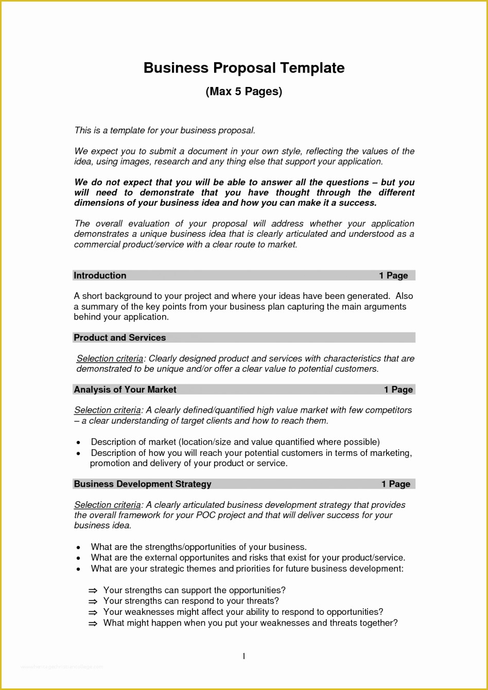 Recording Studio Business Plan Template Free Of Executive Business Plan Template Bire 1andwap