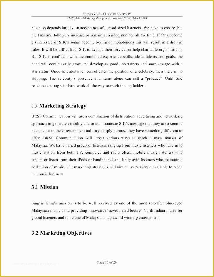 Recording Studio Business Plan Template Free Of Music Business Plan Template