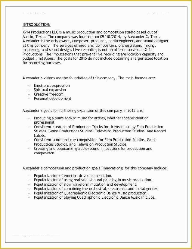 Recording Studio Business Plan Template Free Of Sample Business Plan for Artists Sample Artist Management