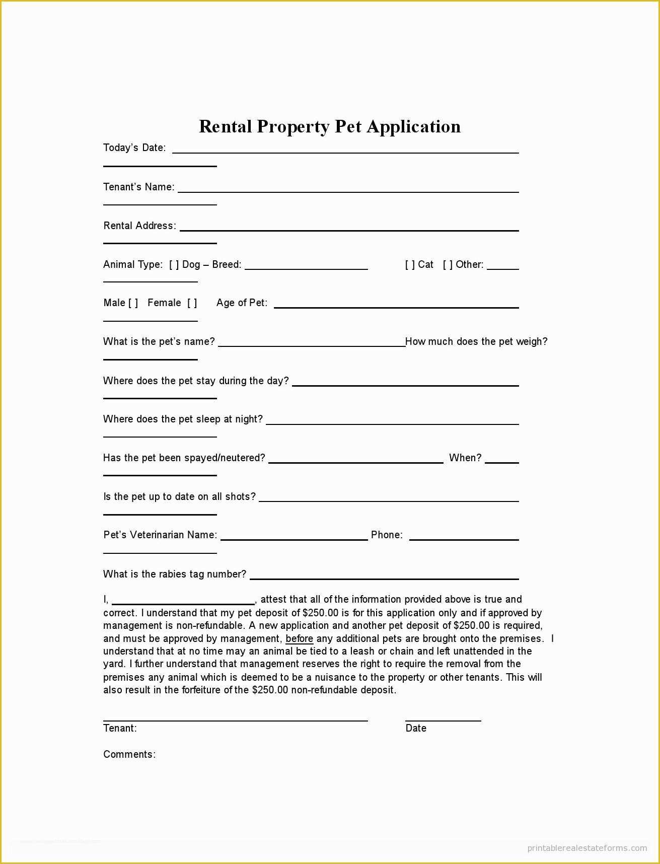 Rental Template Free Of Blank Lease Agreement Example Mughals