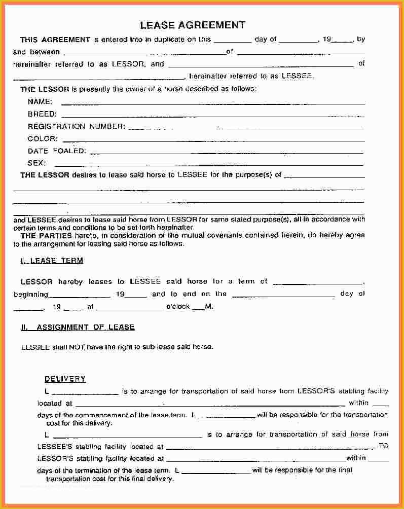 Renting Contract Template Free Of 8 Rental Lease Agreement Pdf