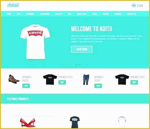 Responsive Ecommerce HTML Template Free Download Of Big Store An E Merce Line Shopping Bootstrap