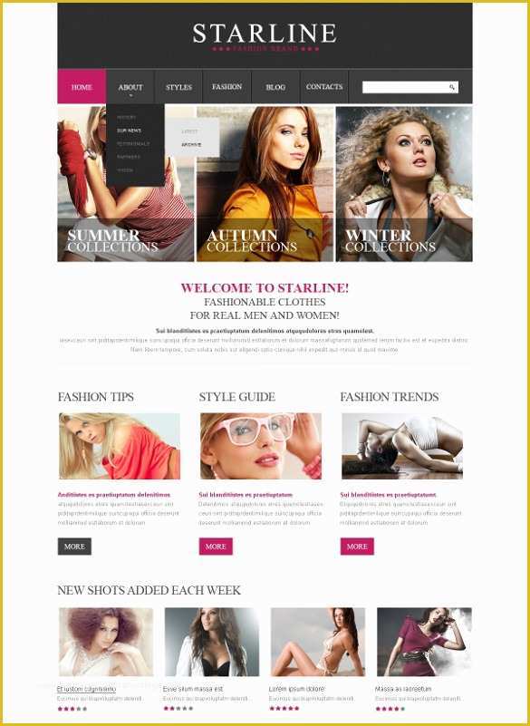 Responsive Fashion Website Templates Free Download Of Clothe Store Website Templates & themes