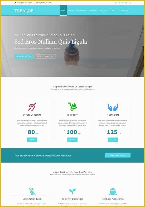 Responsive Website Templates Free Download HTML5 with Css3 Of 50 Free Responsive HTML5 Css3 Website Templates