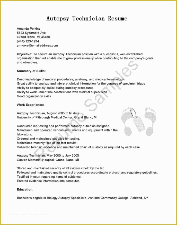 Resume Builder Template Free Microsoft Word Of Resume Template Free Resume Builder Microsoft Word