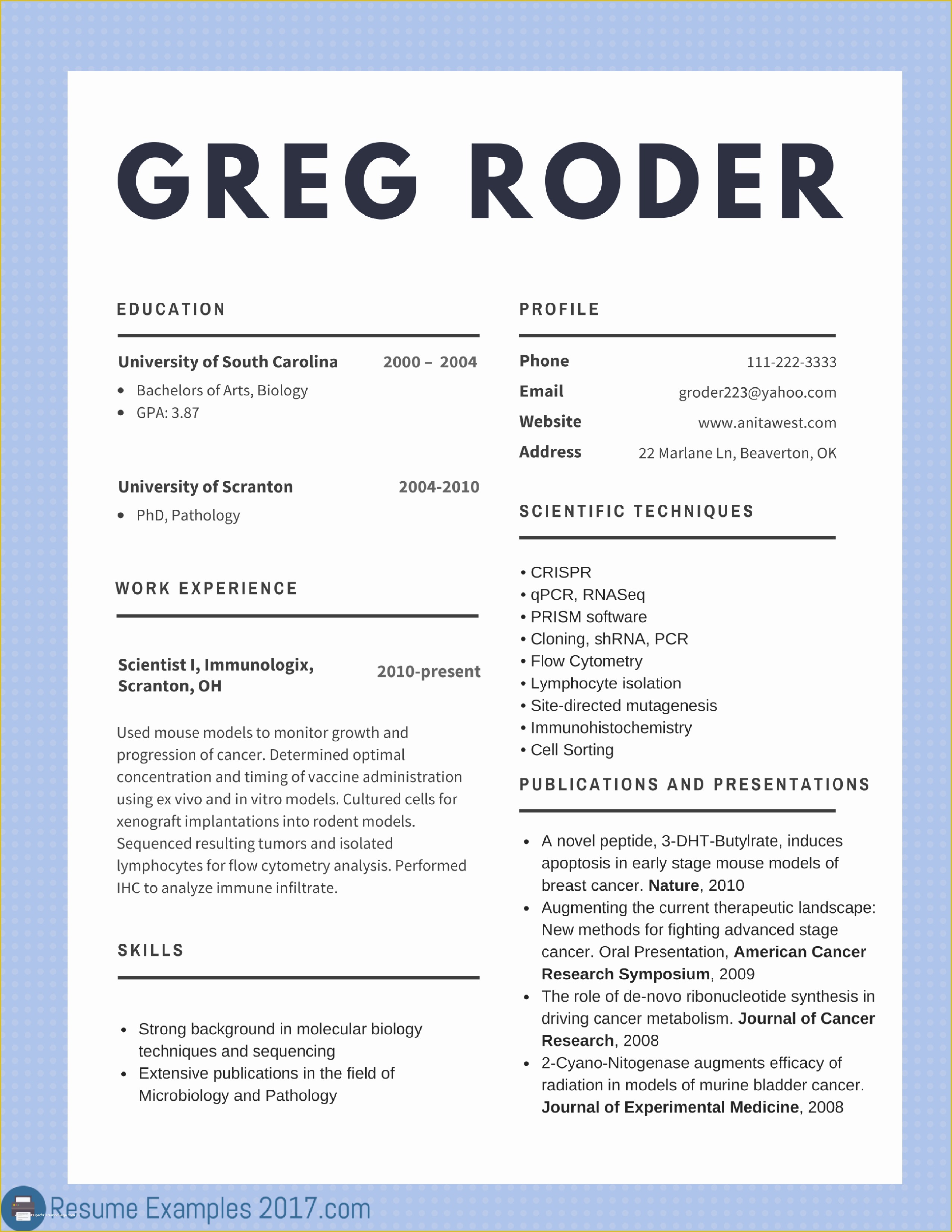 Resume Free Template 2017 Of Best Cv Examples 2018 to Try